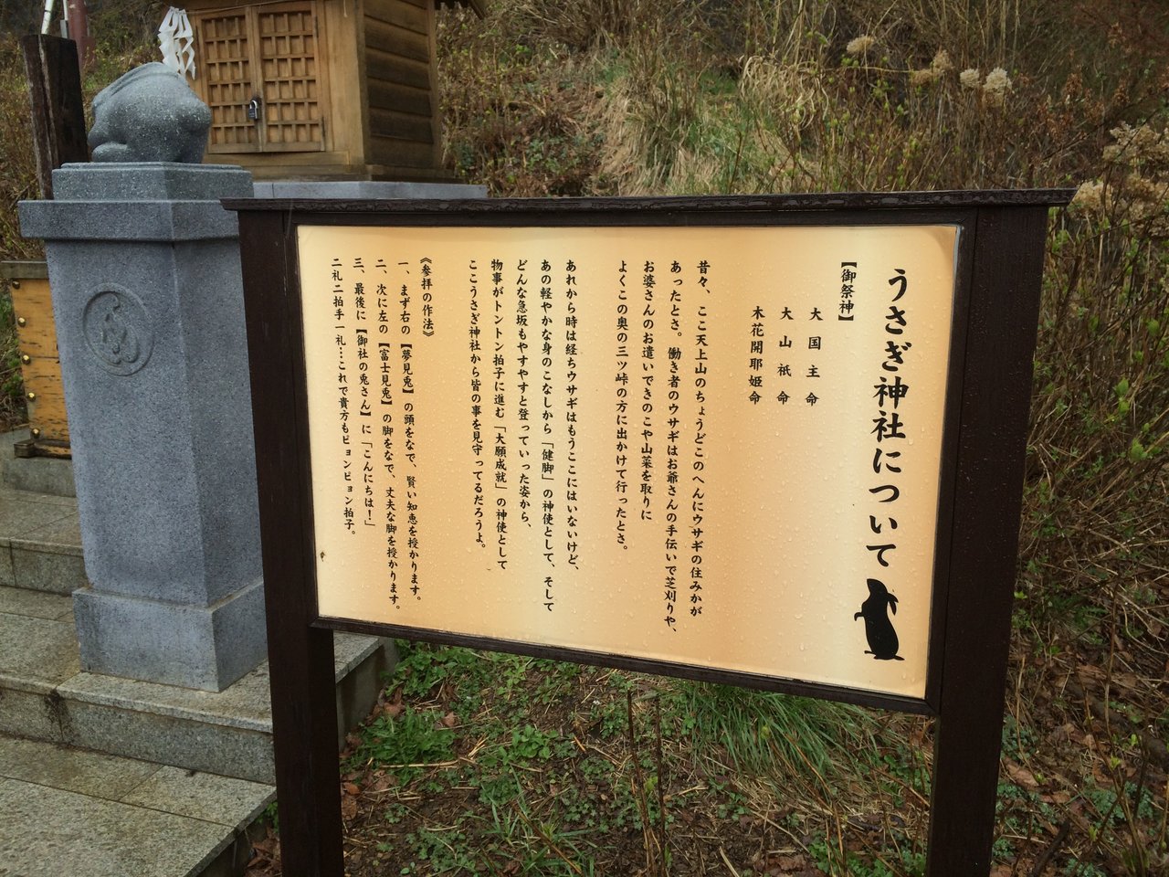 おのれ狸 おのれ狸 おのれ狸 まっくの徒然日記