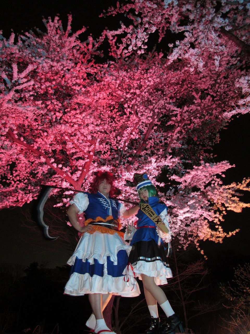 東方コスプレ夜桜撮影会 まっくの徒然日記