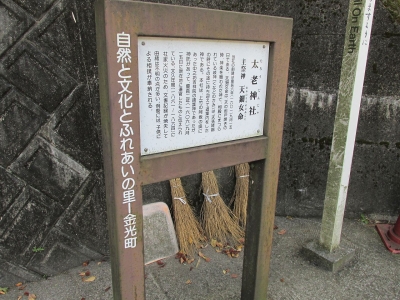 b0f82f63.jpg