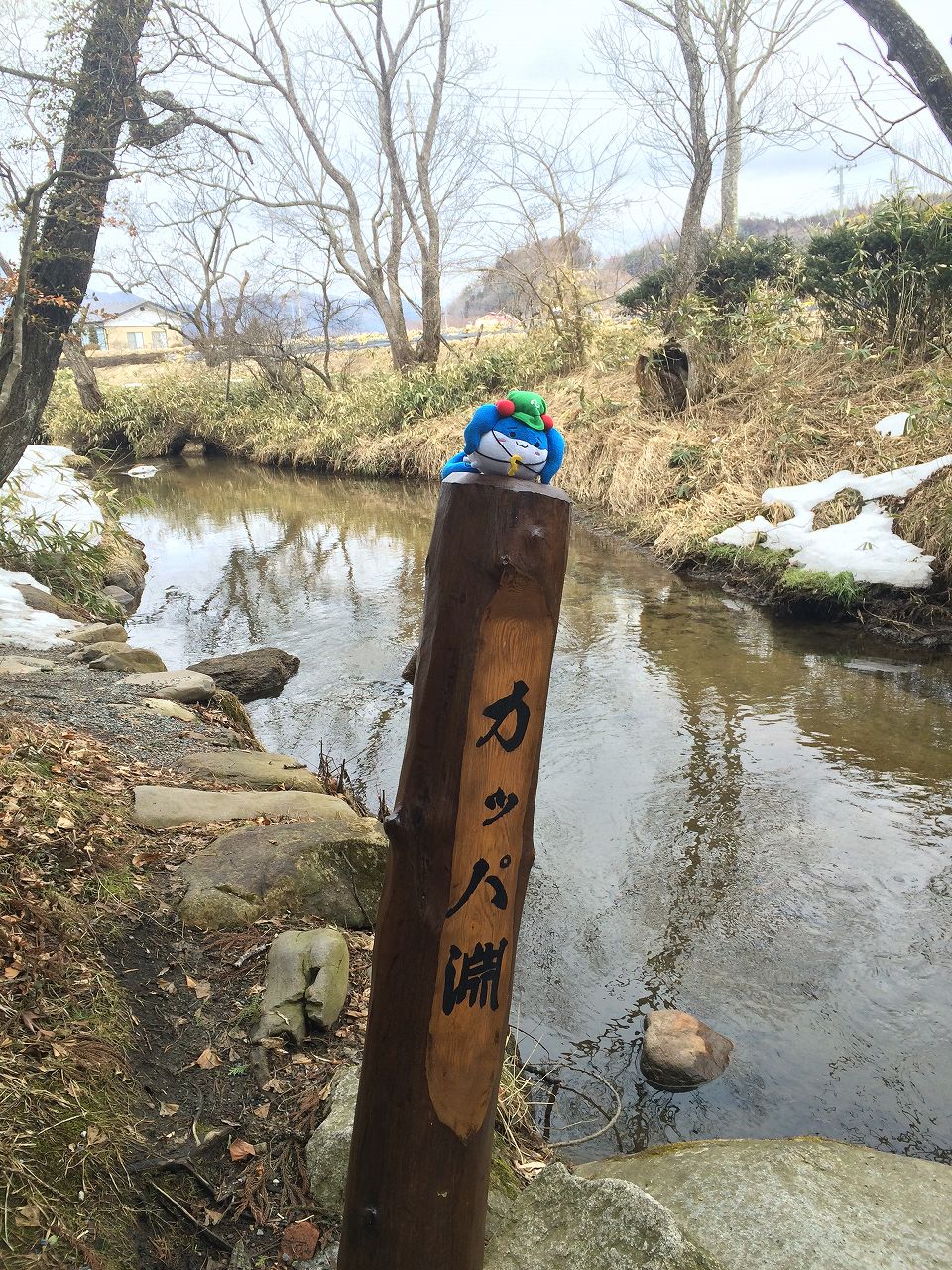 カッパ淵 にとり すくすくにとり まっくの徒然日記