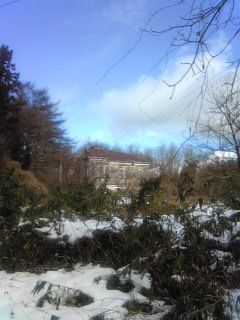 20090102200055.jpg