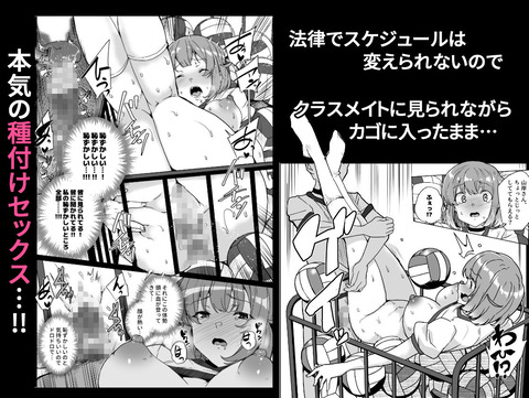 d_258871jp-003