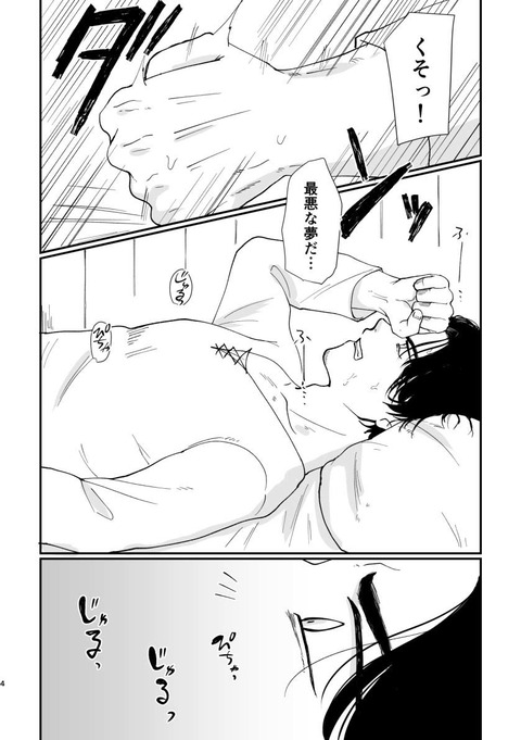 d_420110jp-002