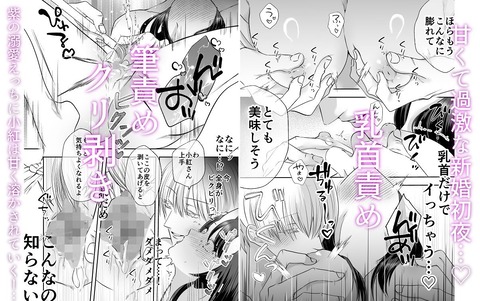 d_660231jp-005
