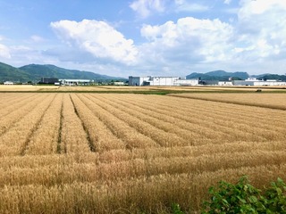 IMG_3276