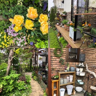 4A89F265-EC87-4FA6-B5C9-025E9AD28F1F