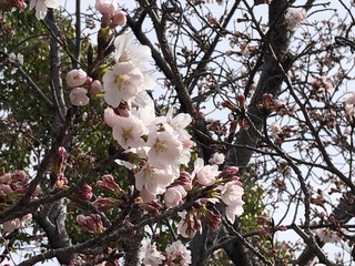 IMG_4872