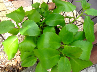 DSC03066_01