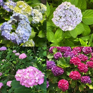 88E880C1-0FCB-4BA9-9B6F-9FC4FF353911