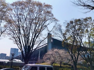 IMG_2963