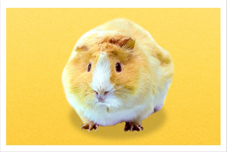 つむぎちゃん