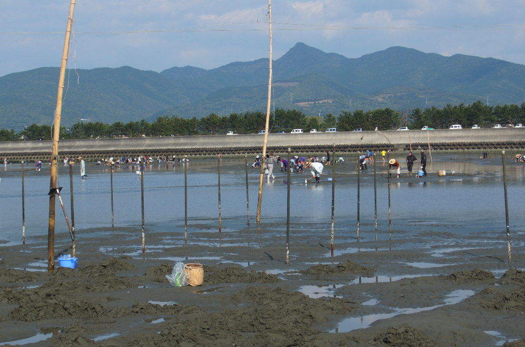 マテ貝採り解禁で賑わう出水市福ノ江海岸 花鳥風月きままな外遊び マテ貝採り解禁で賑わう出水市福ノ江海岸 花鳥風月きままな外遊び
