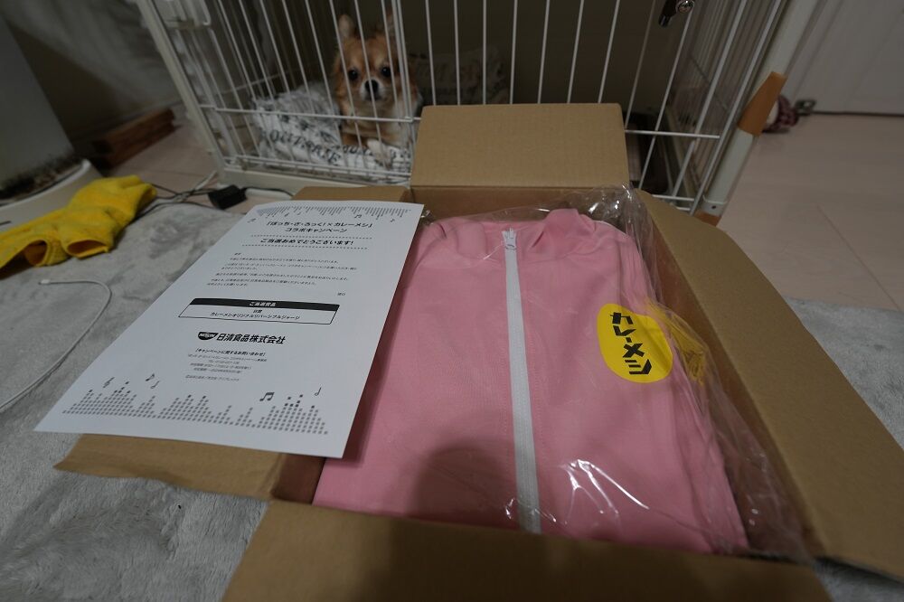 「ぼっち・ざ・ろっく！×カレーメシ」 コラボ　B賞 リバーシブルジャージ ぼっち・ざ・ろっく！】カレーメシ コラボキャンペーン リバーシブル