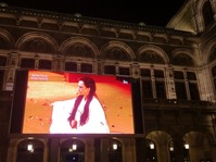 29 Vienna madama butterfly-2