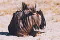 AFRICA BLOG, Part 1 - Photo 16