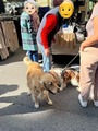IMG_9805