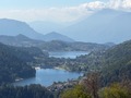 IMG_4940