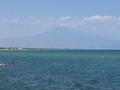 IMG_6782