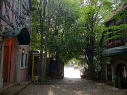 IMG_5521