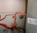 IMG_7357