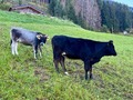 IMG_5862