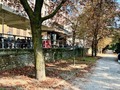 IMG_8819