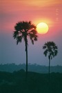 TANZANIA - Sunset, Sunrise_001