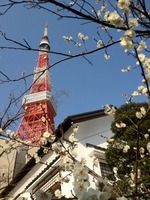 2 at Ukai