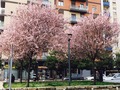 Unknown-8