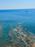 IMG_8304