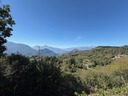 IMG_5018