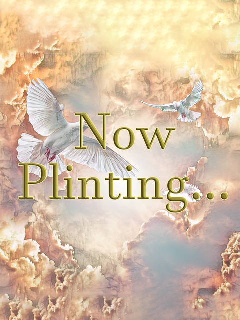 now plinting