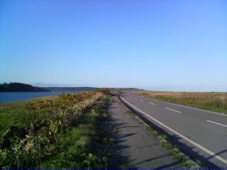 洞川湧水群