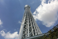 081603