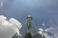 081601