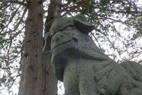 201017_06