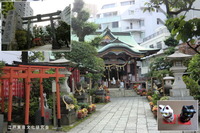 hirakawa8