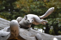 kitune