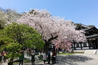 170415_04