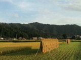 CA3I0020