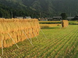 CA3I0021