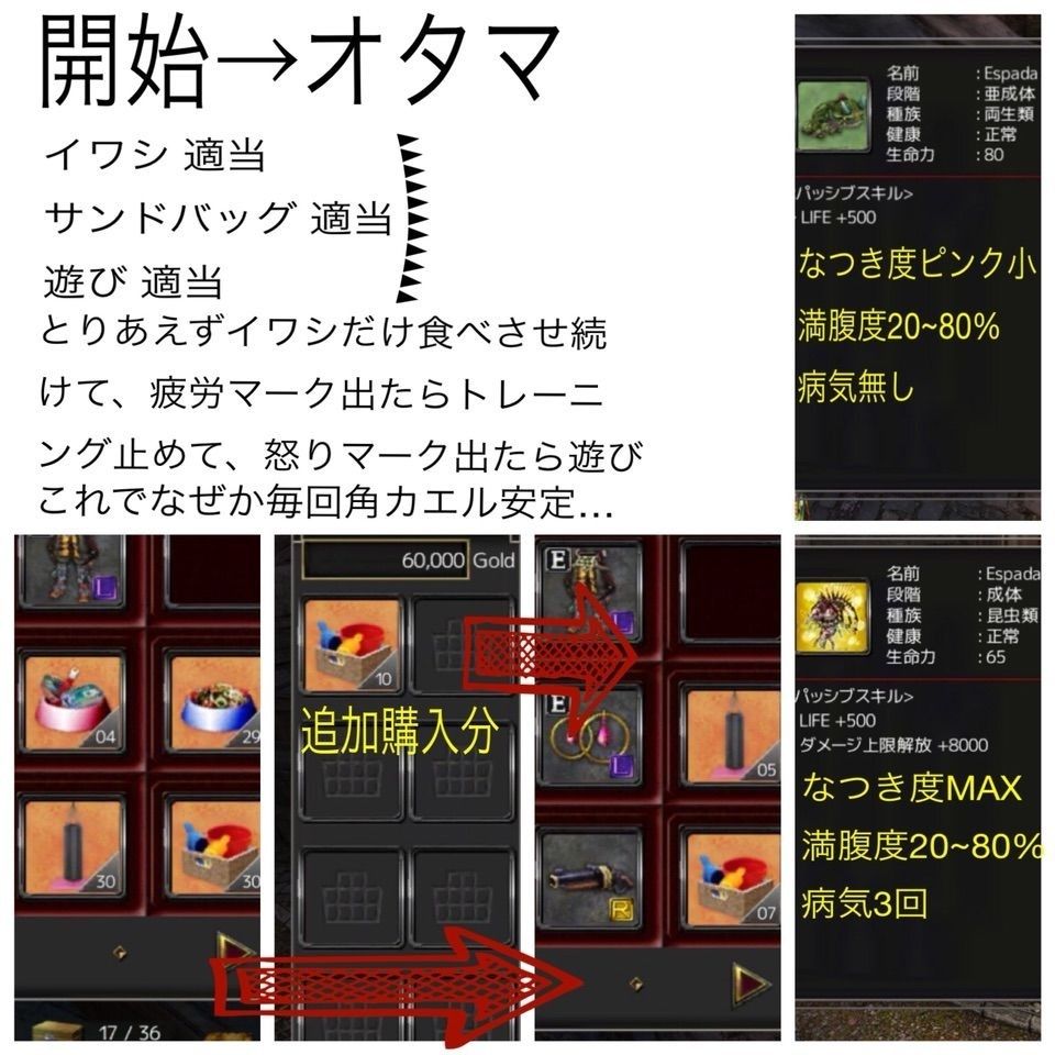 イザナギオンライン 口寄せ獣の育て方 Made In Makishiのブログ
