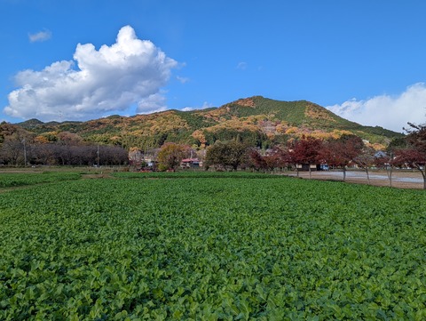 PXL_20211127_023916896