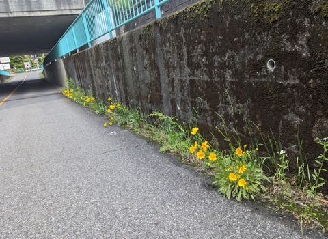 PXL_20230514_021421846