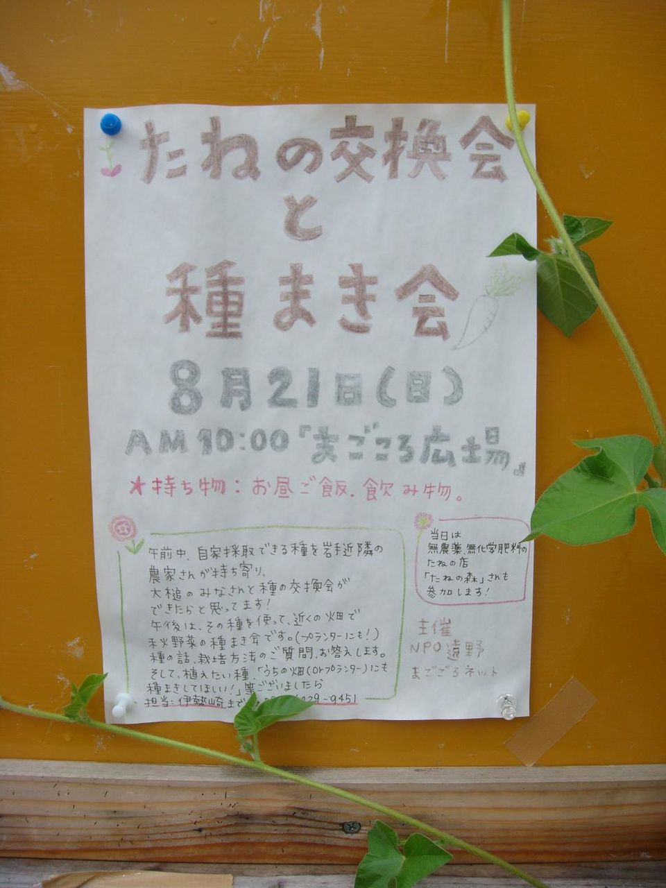 イメージ 1
