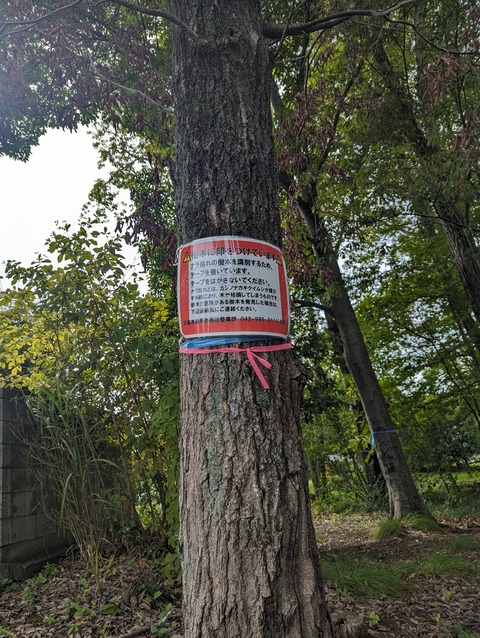 PXL_20230907_050128789