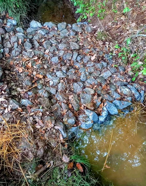 440347527_3458647774281399_5656054579036021614_n