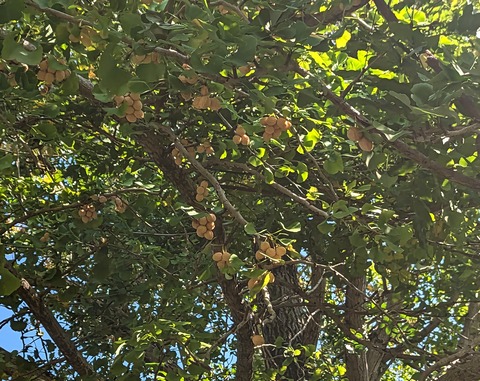 PXL_20231028_023110954