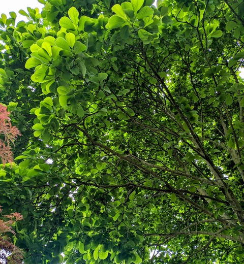 440358540_3458647804281396_4862965796733512266_n