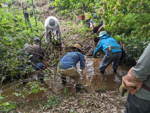 441205809_3458647710948072_8329356317338549010_n